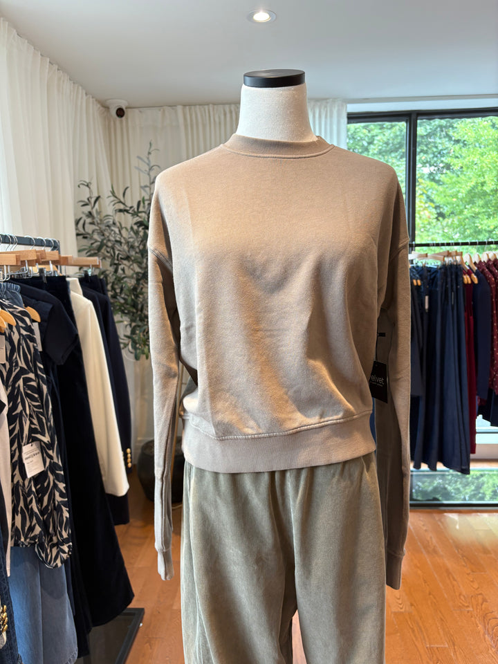 YNEZ ORGANIC FLEECE SWEATSHIRT (SYCAMORE) - VELVET