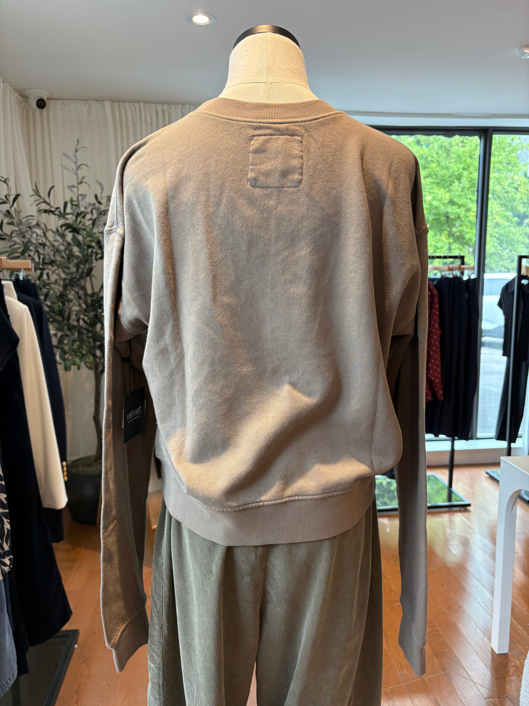 YNEZ ORGANIC FLEECE SWEATSHIRT (SYCAMORE) - VELVET