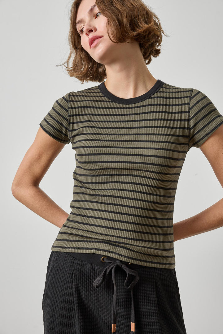 RIBBED SHORT SLEEVE CREW (OLIVE STRIPE) - LILLA P