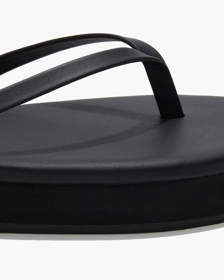 LILY PLATFORMS (SABLE) - TKEES