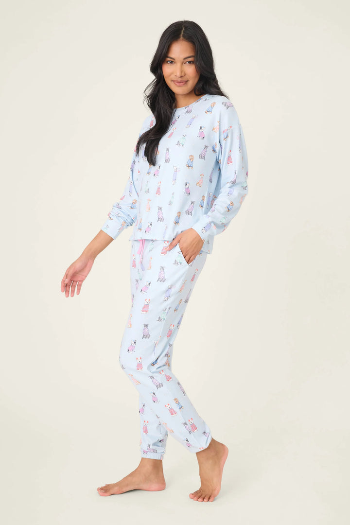 DOGGONE COLD PJ SET (BLUE HAZE) - PJ SALVAGE