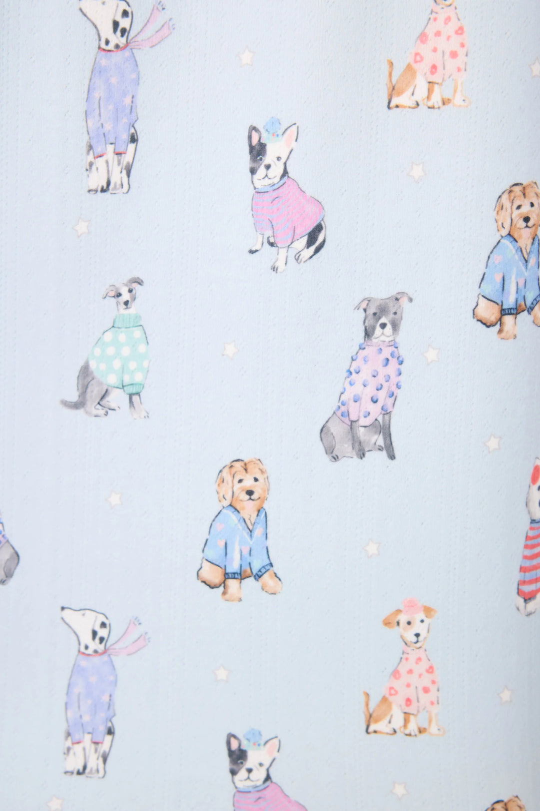 DOGGONE COLD PJ SET (BLUE HAZE) - PJ SALVAGE