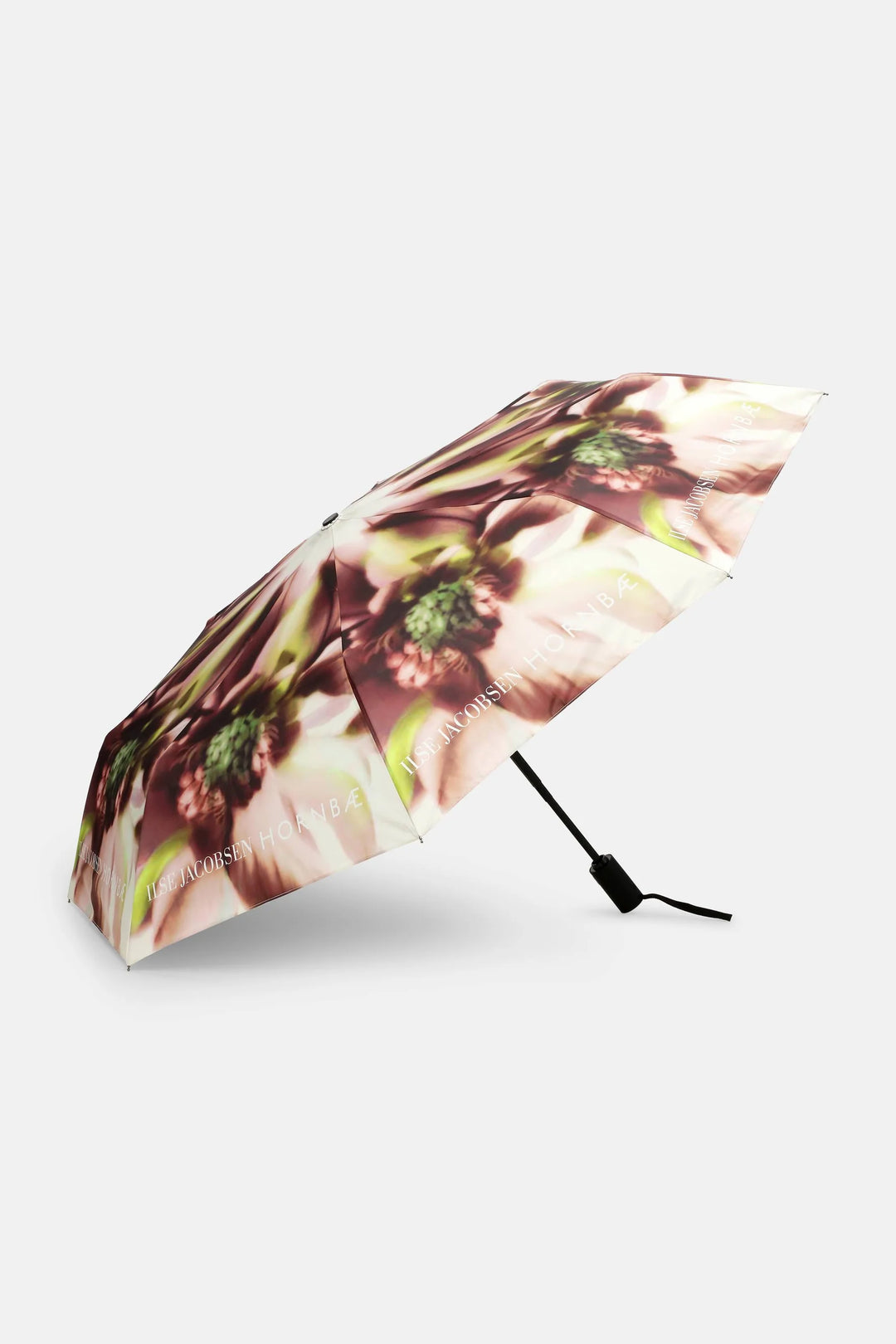 UMBRELLA (LIGHT PHOTORISTIC FLOWER) - ILSE JACOBSEN