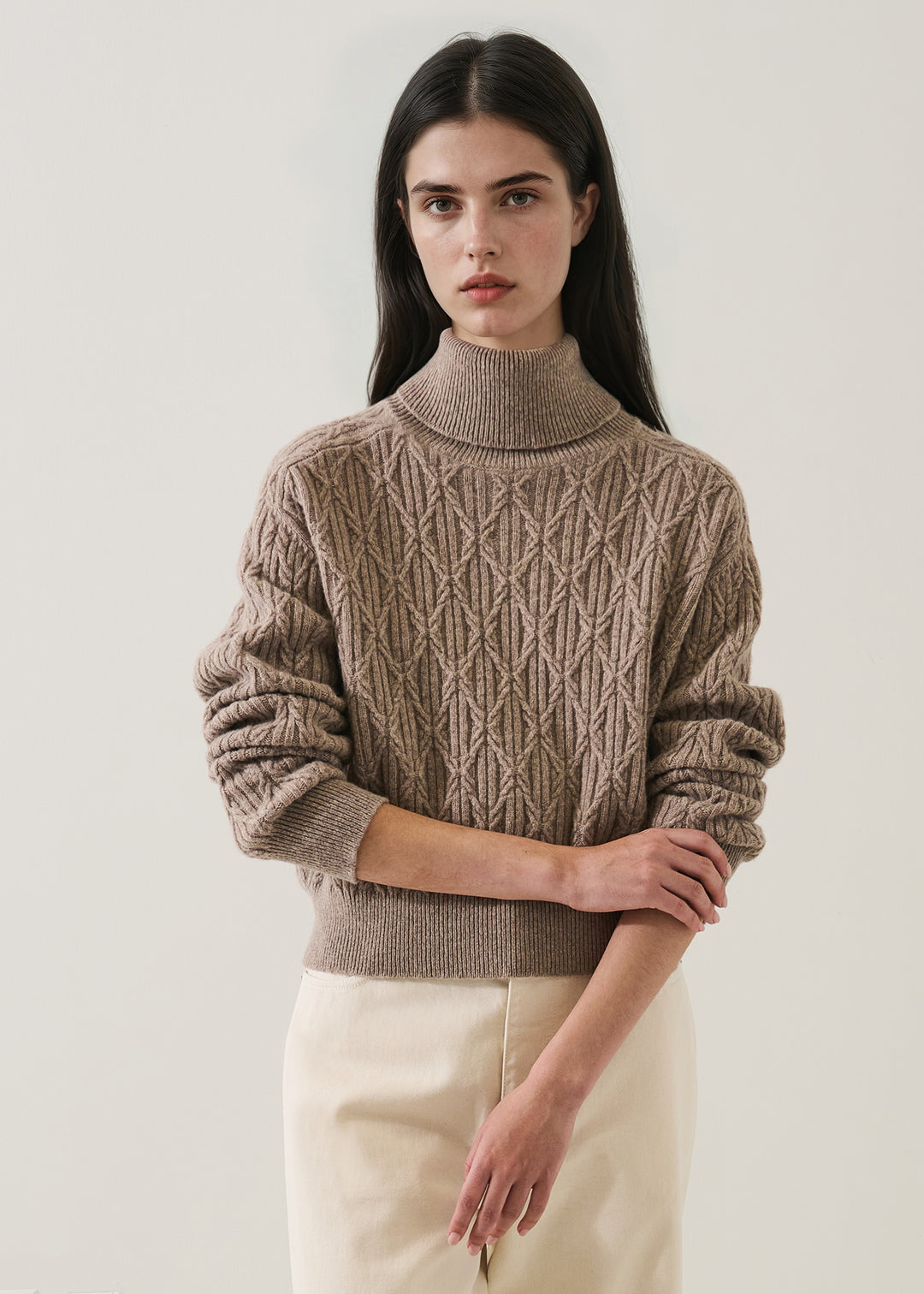 SUPERFINE WOOL CABLE RAGLAN TURTLENECK - PATRICK ASSARAF