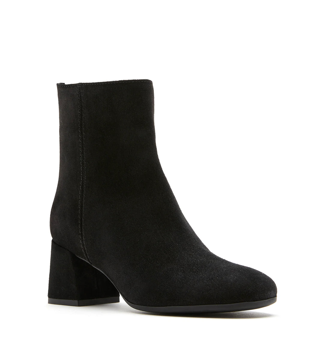 JASON SUEDE BOOTIE (BLACK) - LA CANADIENNE