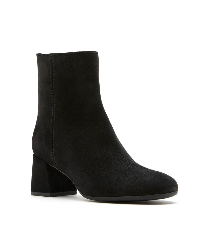 JASON SUEDE BOOTIE (BLACK) - LA CANADIENNE