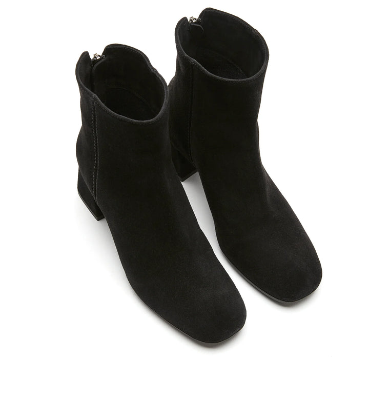 JASON SUEDE BOOTIE (BLACK) - LA CANADIENNE