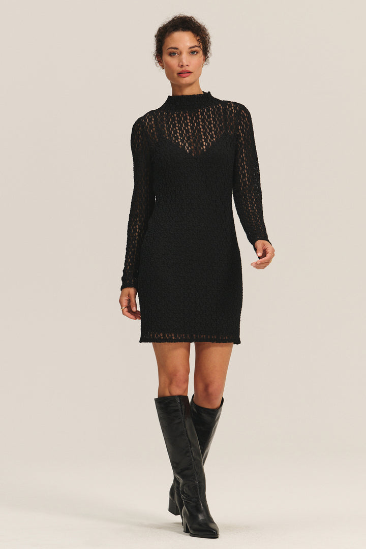 REBECCA STRETCH LACE DRESS - VELVET