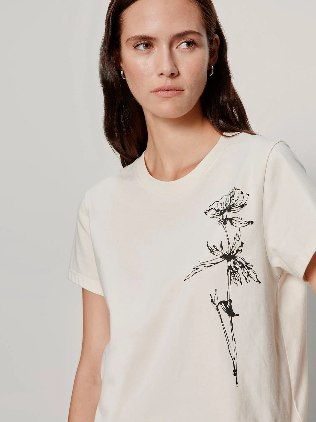 TIMELESS TEE (COLLAGEN W/ DANDELION) - SANCTUARY